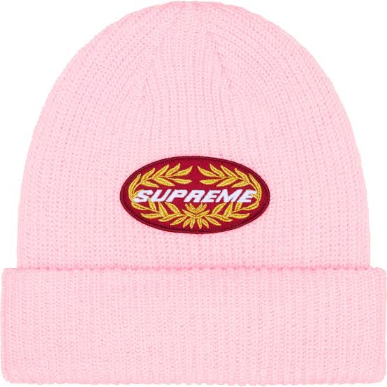 Supreme beanie